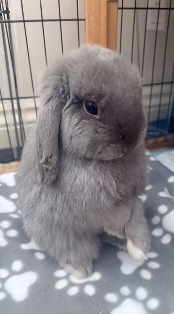 He is a criminal- post castration problems update