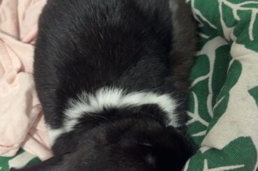 Sleepy time