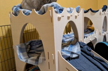 Quake with fear ye who dare enter his castle