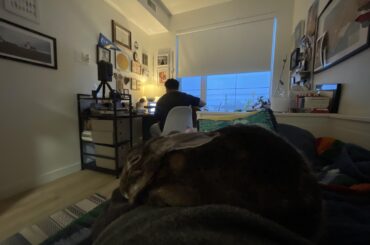 Our rabbit is such a lovebug