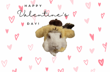 Happy Valentine's Day