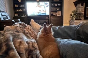 How much did your buns personality change?