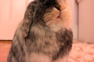 I can’t believe he’ll be this small forever