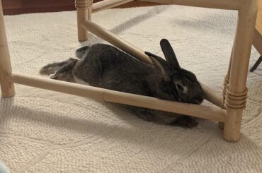 just wedged right in there