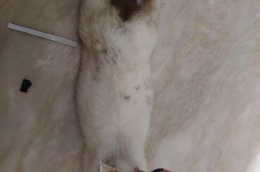 His favourite postion