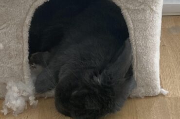A very tired Agnes