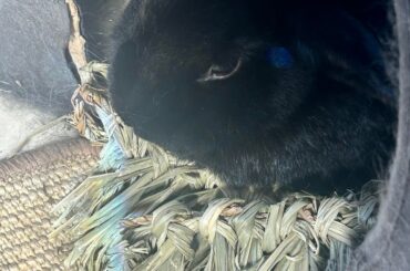 Umm interesting pillow…