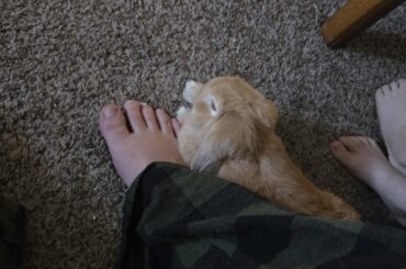 FOOT CUDDLES?