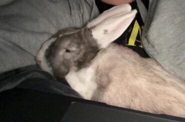 do you guys ever see old photos of ur buns that make you wanna cry?