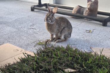 First time touching grass