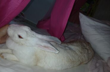 Relaxed and giving kisses