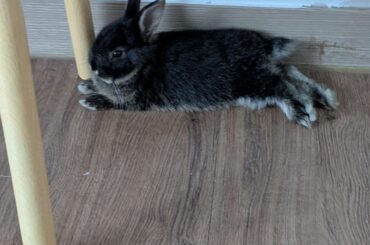 After a hop, skip, and a jump.