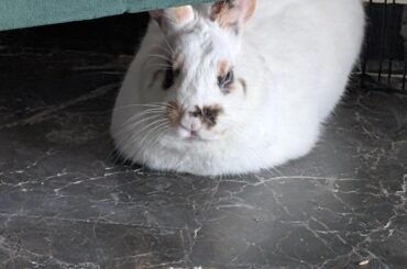 Sleepy loaf