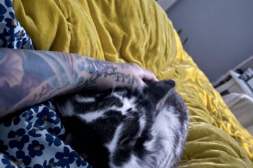 Sleeping bunnies you say?