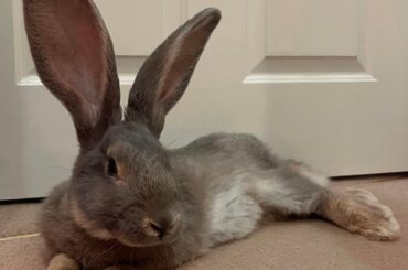 Everybody say hi to miss Tina!