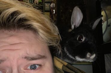 i really can't help but feel like i'm being watched...