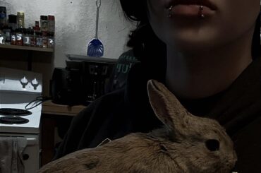 New to bunnies