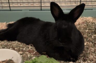 how classy can one be