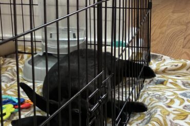 Ultimate comfort, apparently.