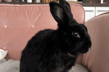 And now his watch is ended