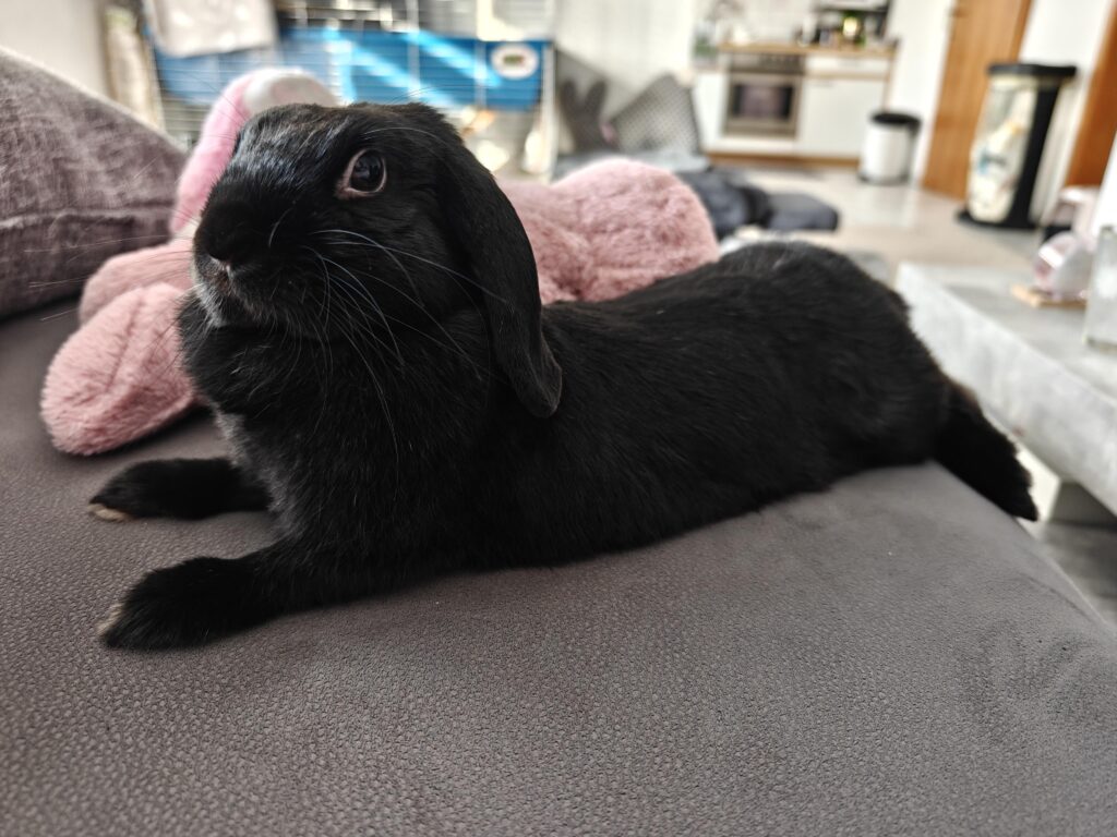 Gulasch the periscope