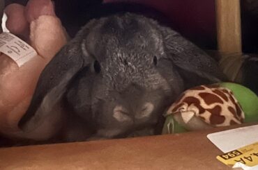 Don’t be suspicious