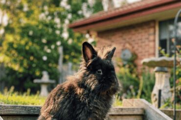 He’s gorgeous 💖