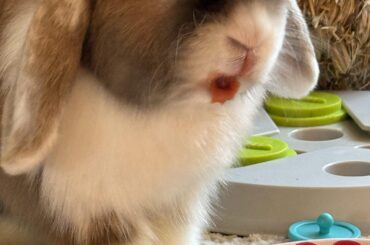 She looks scary. Its just a snack!