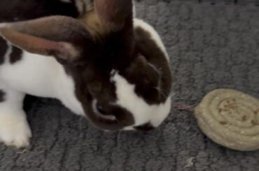 I need name suggestions for our new little guy! Something unique and cute!