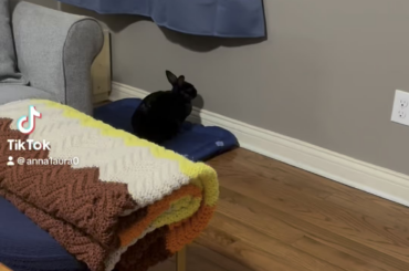 Timeout from YOU, mom!