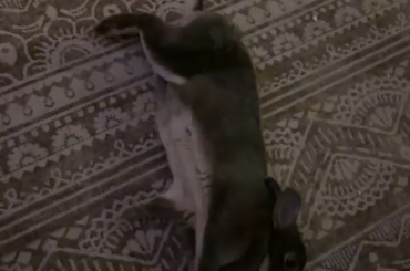 idk why she does this lol