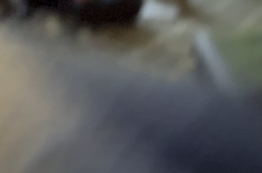 The all love the nanners