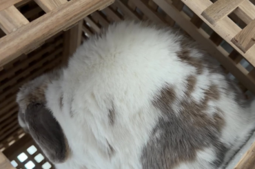 Why is she rocking? Is this normal?