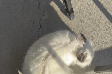 Not fan of being outdoors