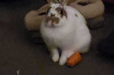 Im not crazy right? 😭