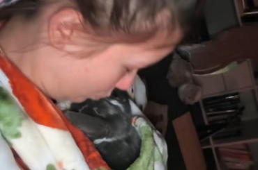 I think she found her favourite spot..