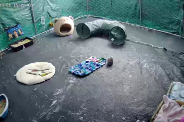 Ran right down to the shed after