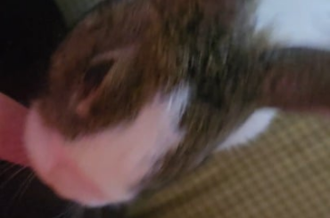 They named me pancake
