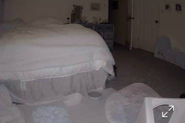 I think my bunny is turning into a horse 😳