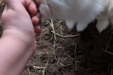Oh no! My new body wash makes me smell delicious to the rabbits!