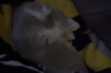 Trancing or total relaxation?