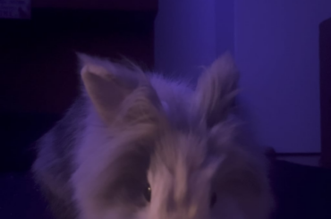 Did he sneeze?😂😂😂