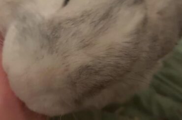 does this mean he genuinely likes me