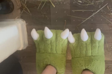 Not a fan of the Dino slippers
