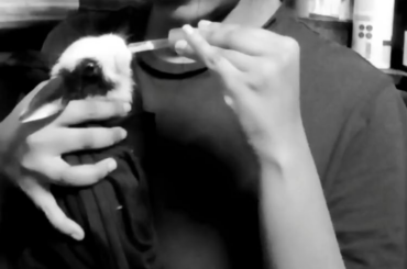 Coco Bean got a hooman mama 💕