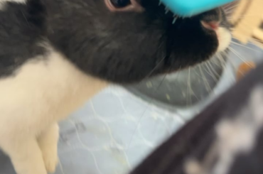Brushies 🥰🥰🥰