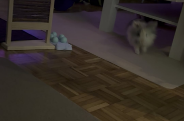 „Did he just stomp on me?“🐰😅😅😅