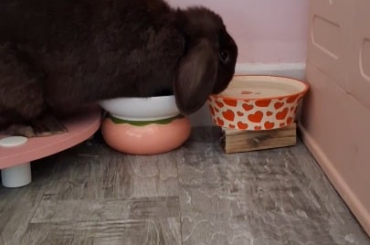 not entirely sure why she was drinking this way