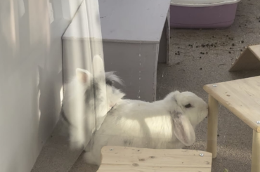 I don’t think he understood the assignment