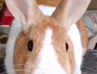 "But mum, I was hungry!"